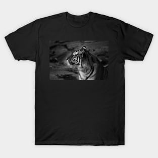 tiger, tiger side view - black an white T-Shirt